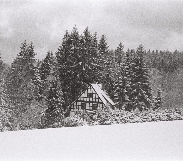 Snowy cabin in the woods